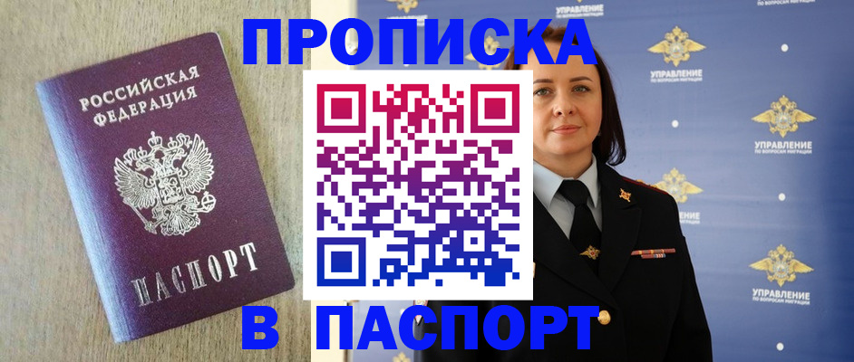 прописка в квартире в Щёлково